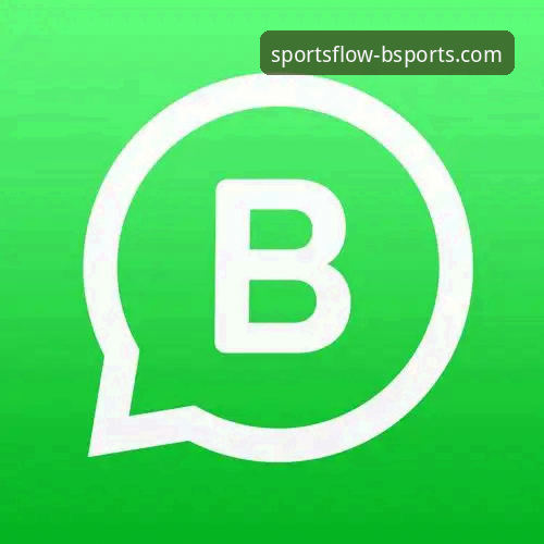 B体育APP手机版下载与官方安装全流程深度评测：从获取到畅享的完整解析